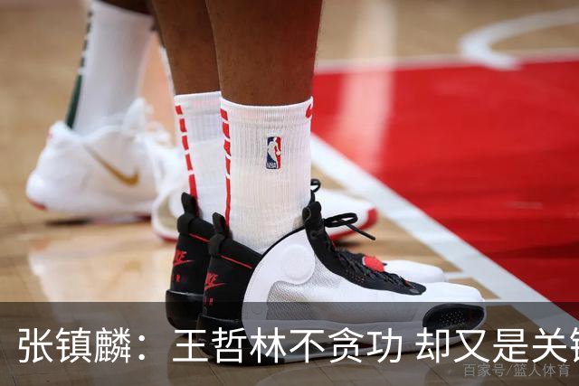 张镇麟：王哲林不贪功 却又是关键时刻能站出来的人 队长当之无愧